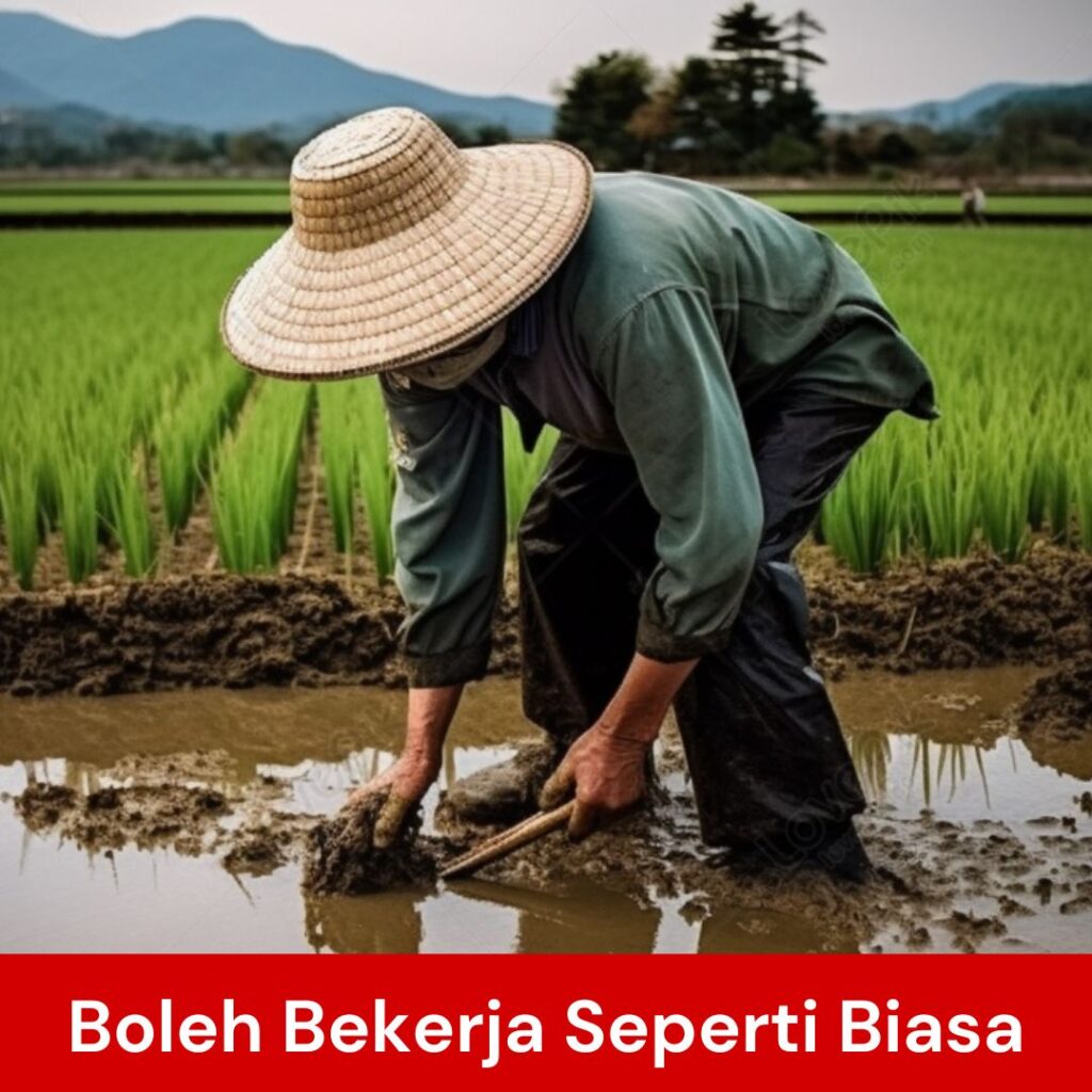 gout hilang boleh kerja