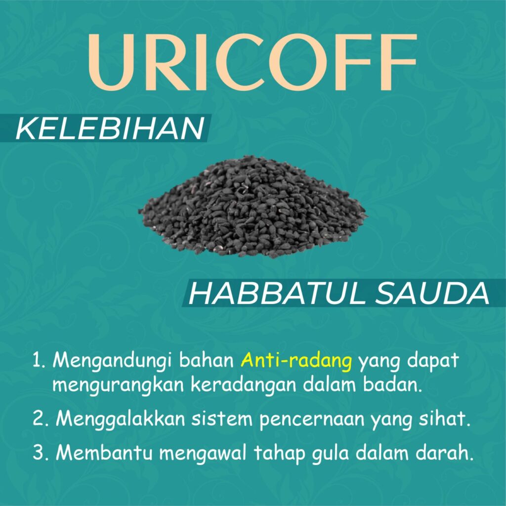 kebaikan habbatussauda dalam ubat gout