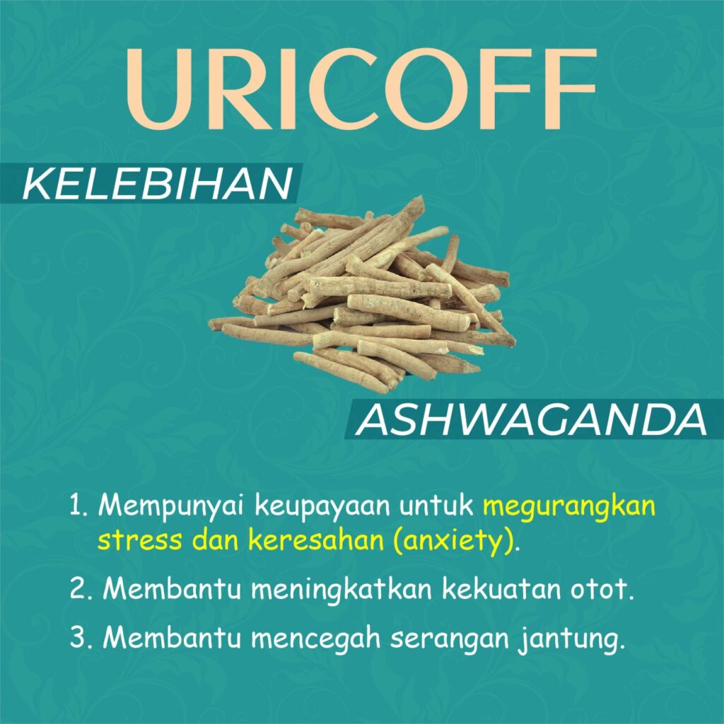kebaikan ashwaganda dalam ubat gout