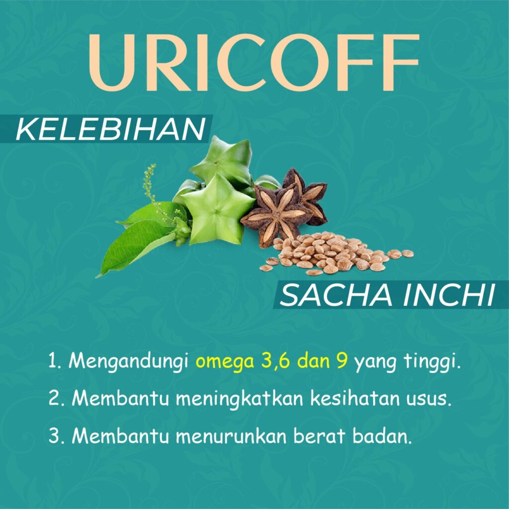 kebaikan sacha inchi dalam ubat gout